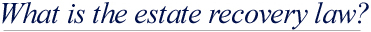 What is the estate recovery law?